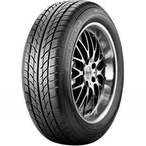 Riken MAYSTORMN-2 B2 Banden 205/40 R17 84W