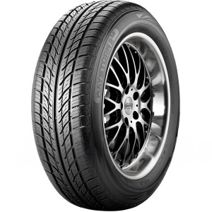 Riken MAYSTORM 2 B2 Banden 205/45 R17 88V