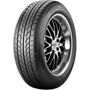 Riken MAYSTORM 2 B2 Banden 215/45 R17 91W