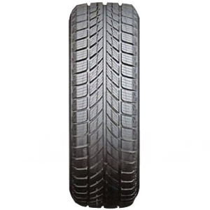 Horizon HW505 Banden 205/50 R17 93H