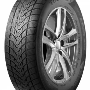 Toledo Bluesnow
Banden 225/55 R16 99V XL