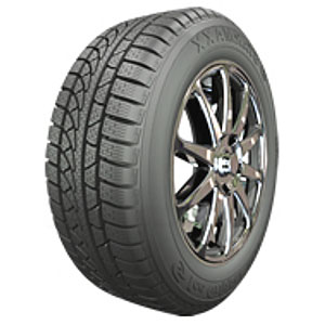 Starmaxx ICEGRIPPER W850 XL Banden 205/45 R16 87H