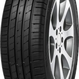 Minerva Ecospeed 2 SUV 4x4 banden 225/70 R16 103V