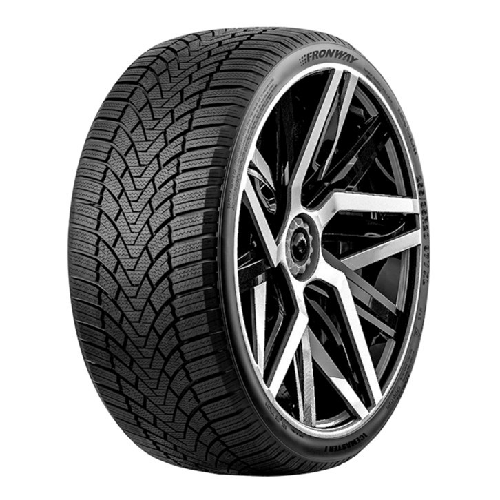 FRONWAY Icemaster I Banden 205/50 R16 91V