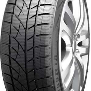 RoadX WU01 Banden 205/50 R17 89H