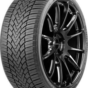 ARIVO WINMASTER PROX ARW 3 XL M+S 3PMSF TL
Banden 235/55 R17 103H XL