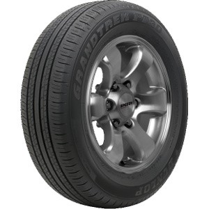 Dunlop Grandtrek PT30 4x4 banden 225/60 R18 100H