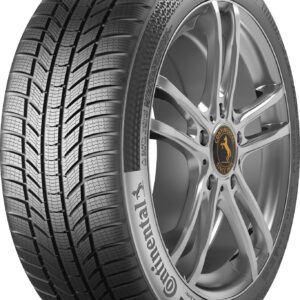 Continental WINTERCONTACT TS 870 P Banden 225/55 R16 95H