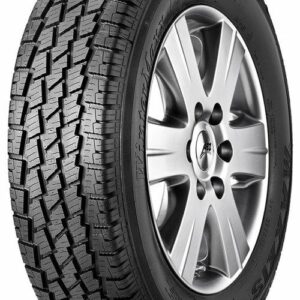 Maxxis MA-W2 Wintermaxx LT Bestelwagenbanden 195/65 R16 104/102T