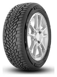 Starmaxx POLARMAXX Banden 205/65 R15 94H